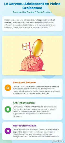 El cerebro adolescente en pleno crecimiento